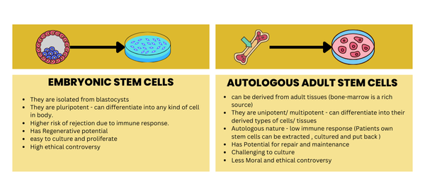 Embryonic Stem Cells Vs Adult Stem Cells